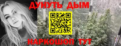 mdma Новозыбков