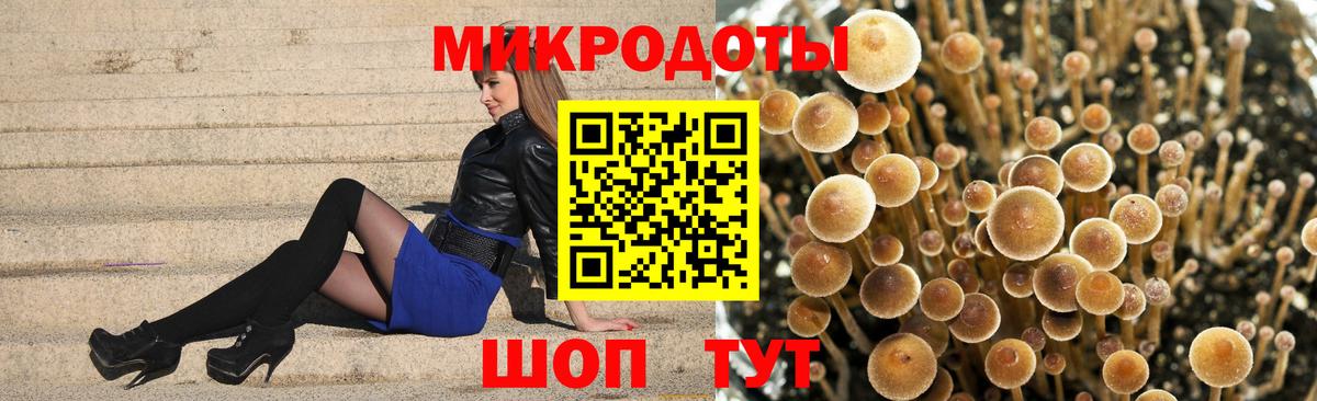 Псилоцибиновые грибы Cubensis Таганрог
